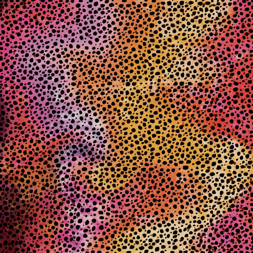 Cricut 2006773 Infusible Ink Transferfolie rainbow cheetah